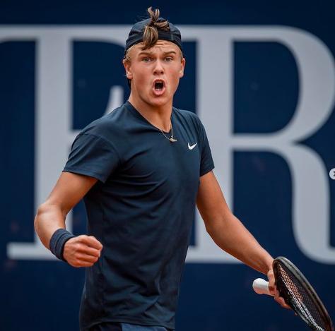 下像素草和 下像素草和